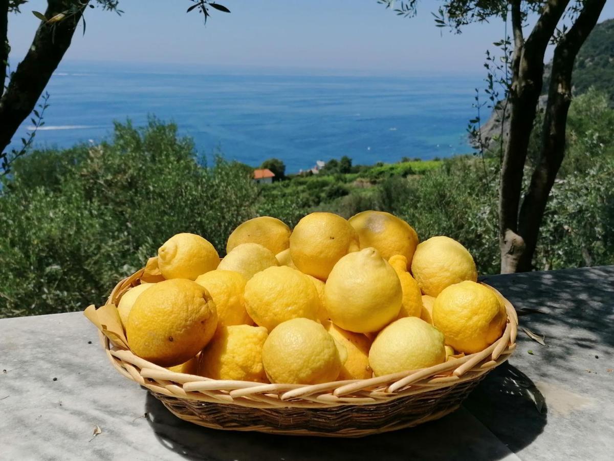 Perla Del Levante Hostel Framura Εξωτερικό φωτογραφία