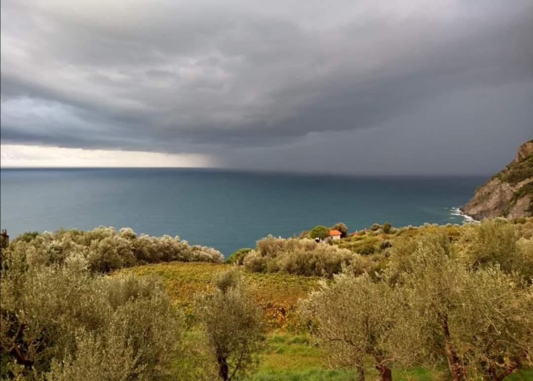 Perla Del Levante Hostel Framura Εξωτερικό φωτογραφία