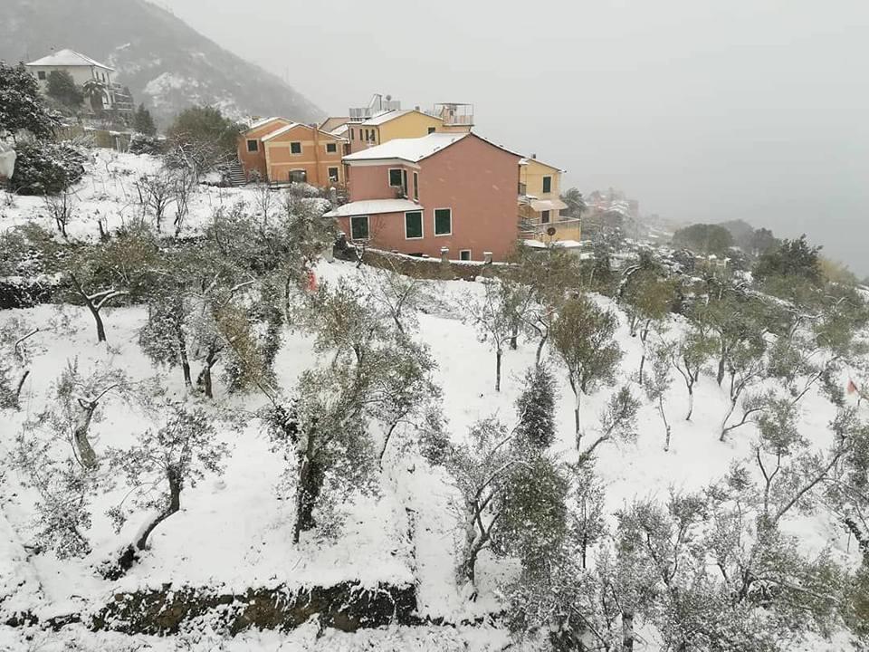 Perla Del Levante Hostel Framura Εξωτερικό φωτογραφία